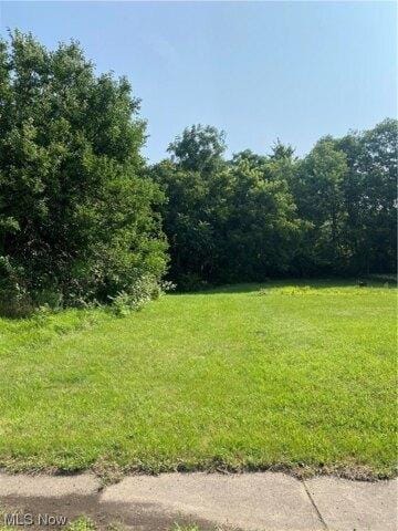 Plot For Sale In Youngstown, Ohio