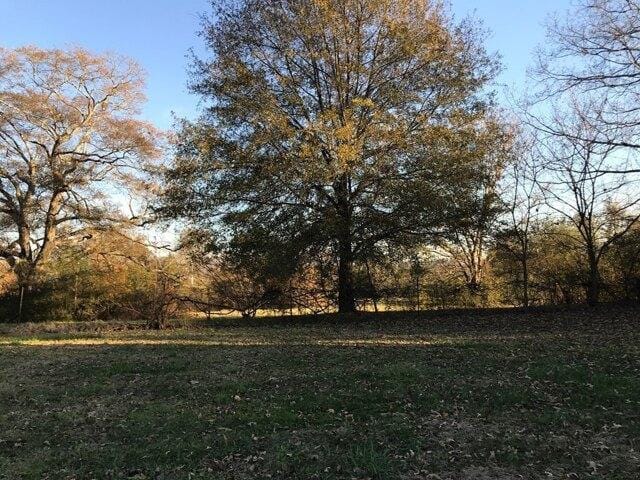 Plot For Sale In Benton, Tennessee