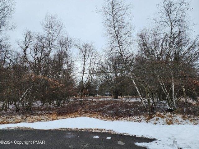 Plot For Sale In Albrightsville, Pennsylvania