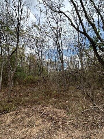 Plot For Sale In Prentiss, Mississippi