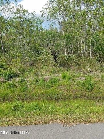 Plot For Sale In Bay Saint Louis, Mississippi