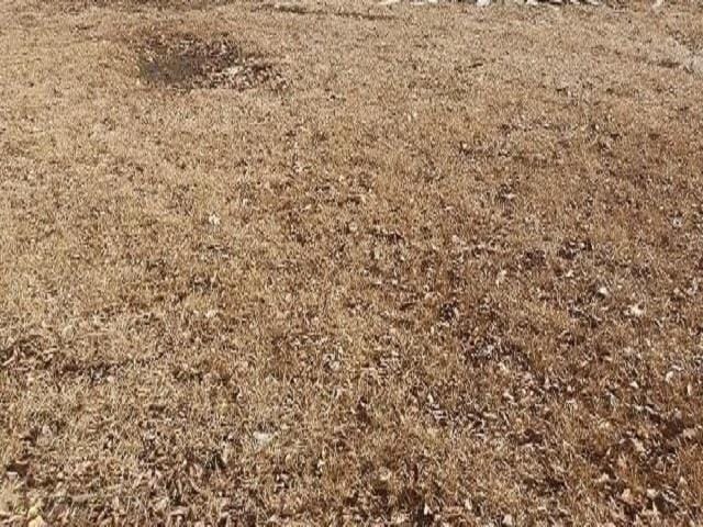 Plot For Sale In Memphis, Tennessee