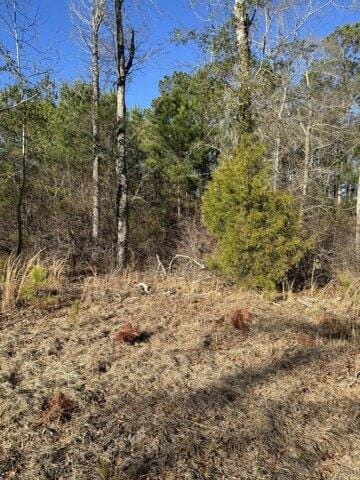 Plot For Sale In Orangeburg, South Carolina