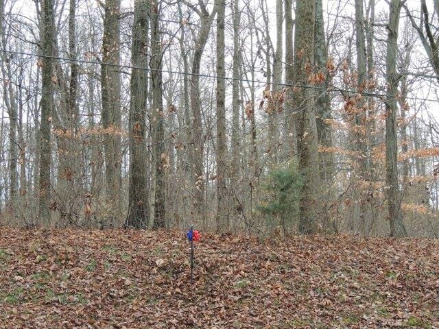 Plot For Sale In Greensburg, Indiana