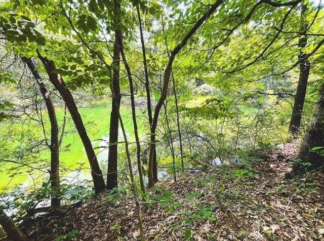 Plot For Sale In Morristown, Tennessee
