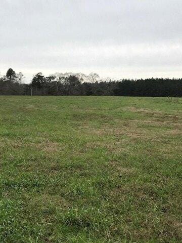 Plot For Sale In Poplarville, Mississippi