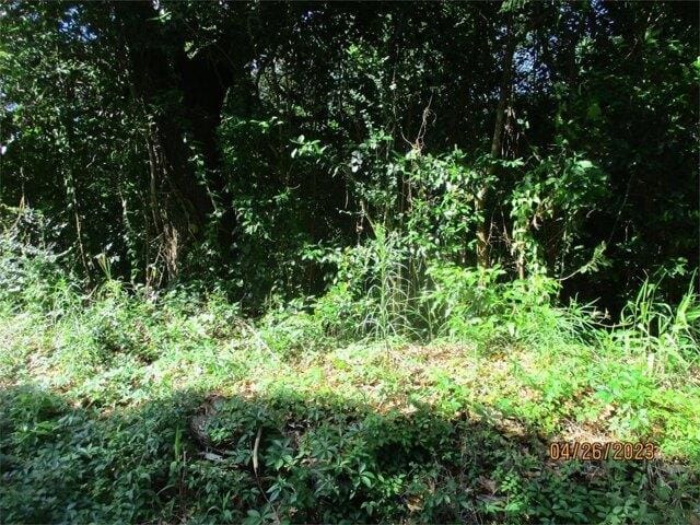 Plot For Sale In Thomasville, Georgia