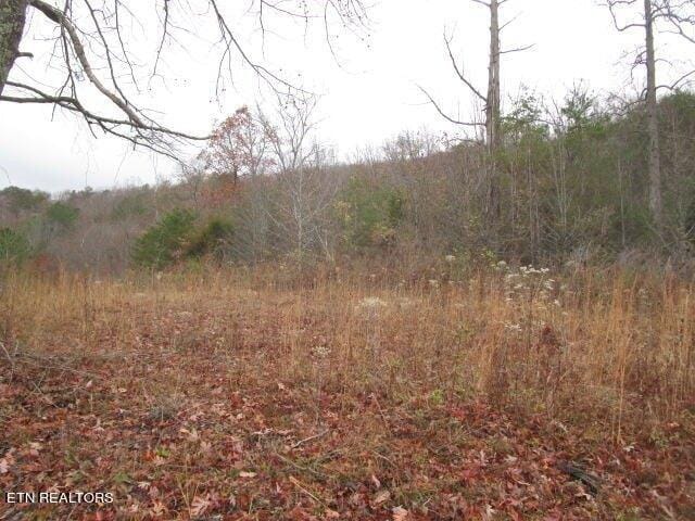 Plot For Sale In Rutledge, Tennessee