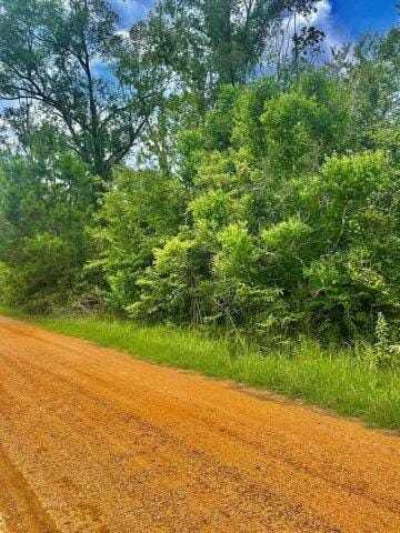 Plot For Sale In Summit, Mississippi