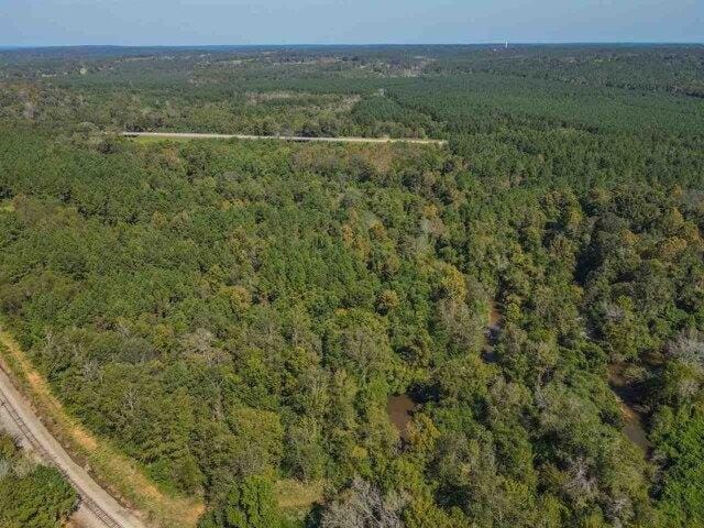 Plot For Sale In Mize, Mississippi