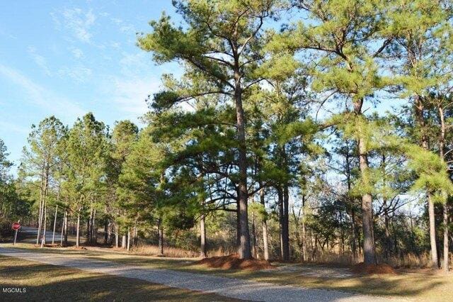 Plot For Sale In Perkinston, Mississippi