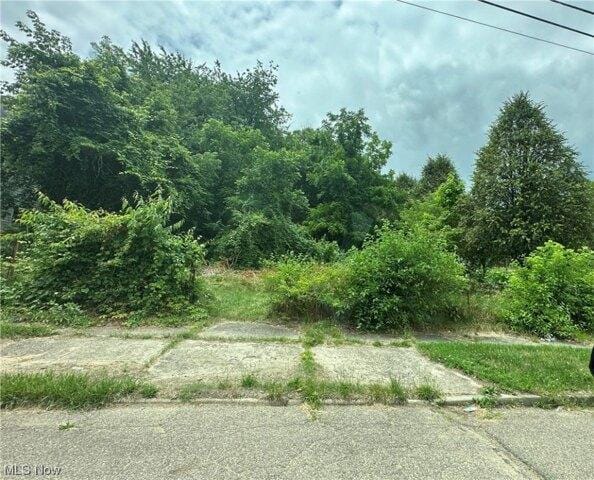 Plot For Sale In Akron, Ohio