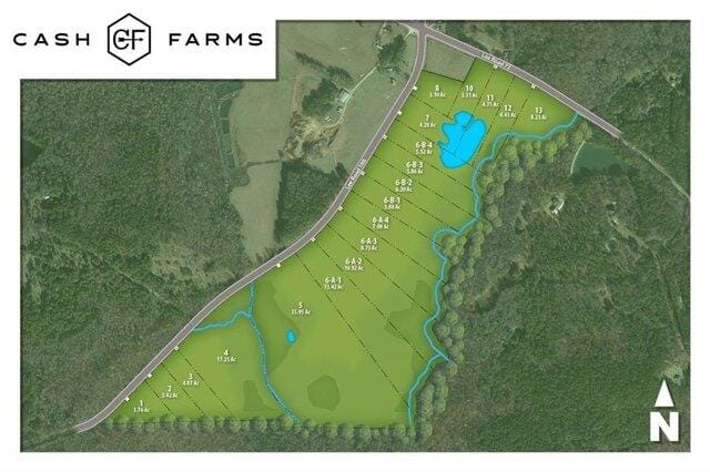 Plot For Sale In Lee Road 188 Waverly, Alabama