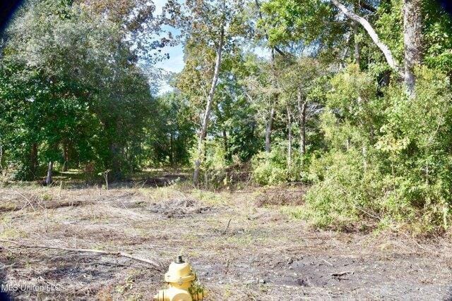 Plot For Sale In Pass Christian, Mississippi