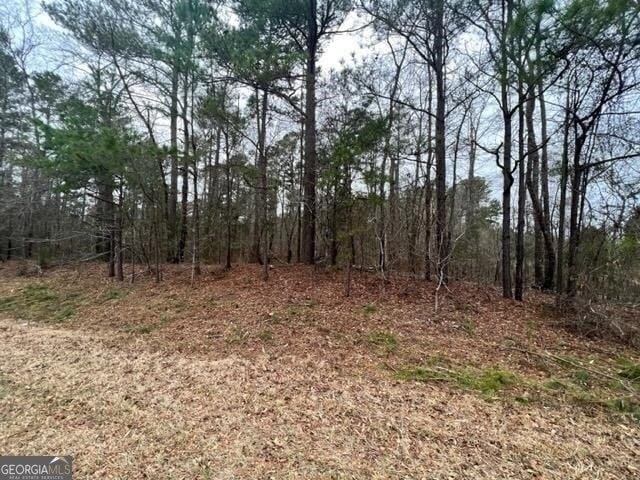 Plot For Sale In Sparta, Georgia