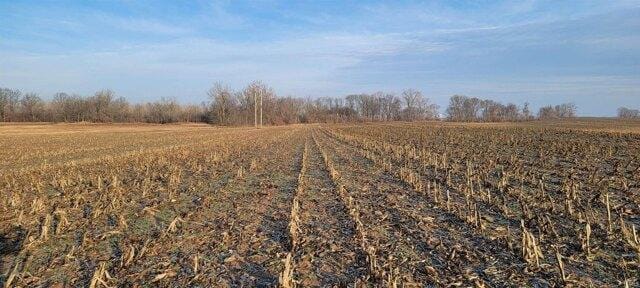 Plot For Sale In Washington, Indiana