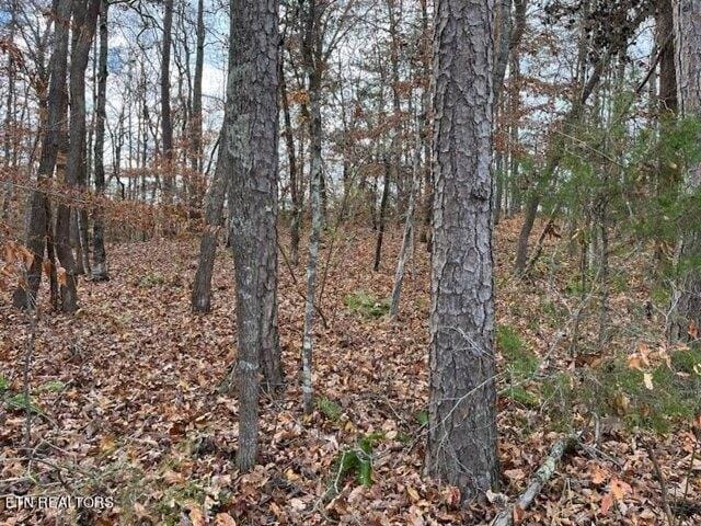 Plot For Sale In La Follette, Tennessee
