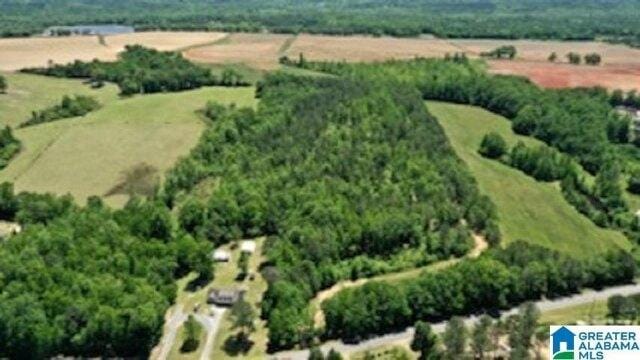 Plot For Sale In Verbena, Alabama