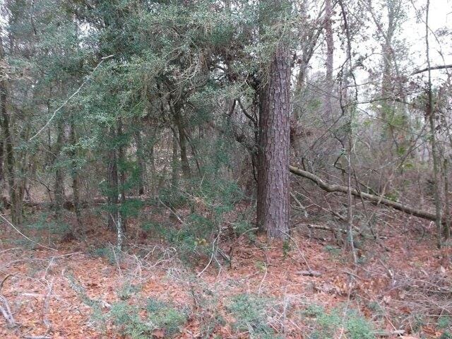 Plot For Sale In Tylertown, Mississippi