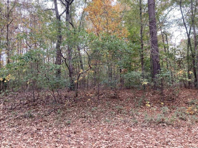 Johnsonville, Florence County, SC Homesites for sale Property ID: 415246454
