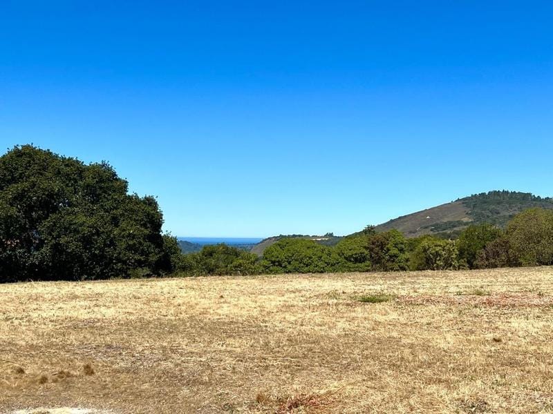 Carmel Highlands, Monterey County, CA Undeveloped Land for sale Property ID: 415974698