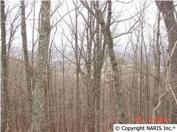 Plot For Sale In Fort Payne, Alabama
