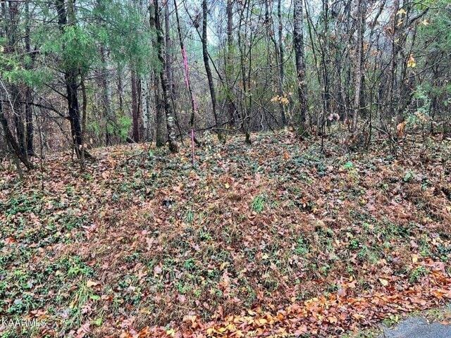 Plot For Sale In Decatur, Tennessee