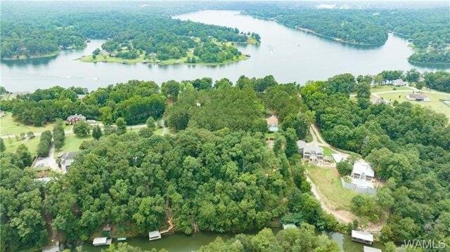 Plot For Sale In Northport, Alabama