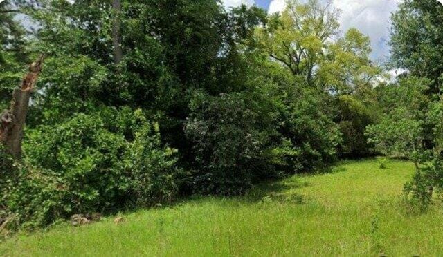 Plot For Sale In Albany, Georgia