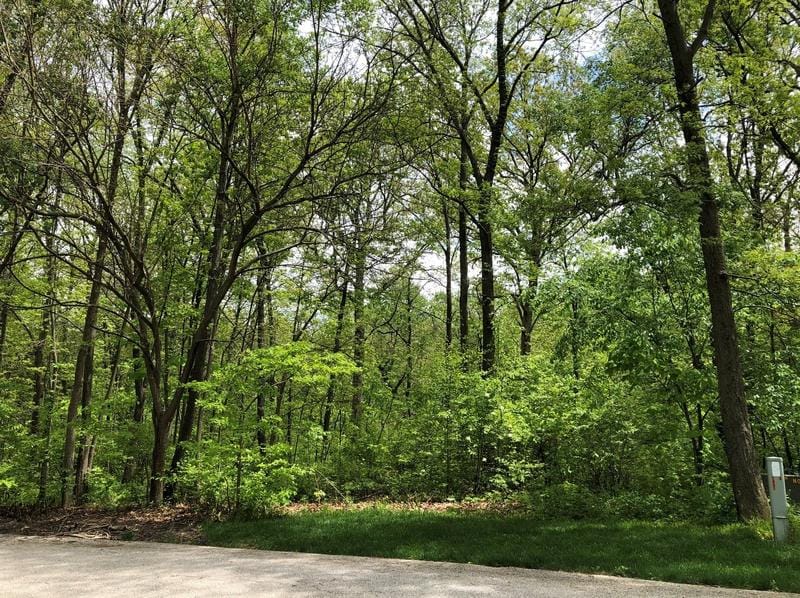 7 Turtle Point, Monticello, IL 61856 - MLS 11071834 for Sale