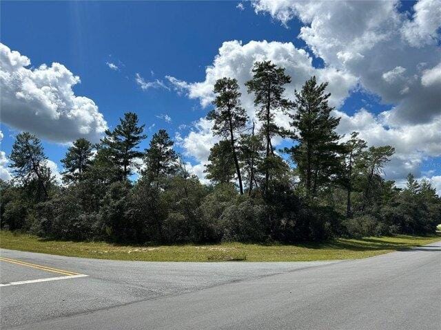 Plot For Sale In Ocala, Florida