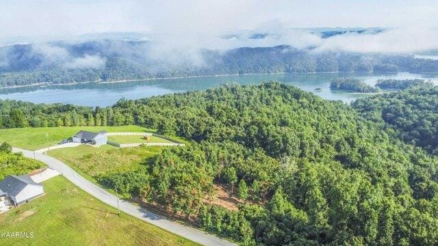 Plot For Sale In Maynardville, Tennessee