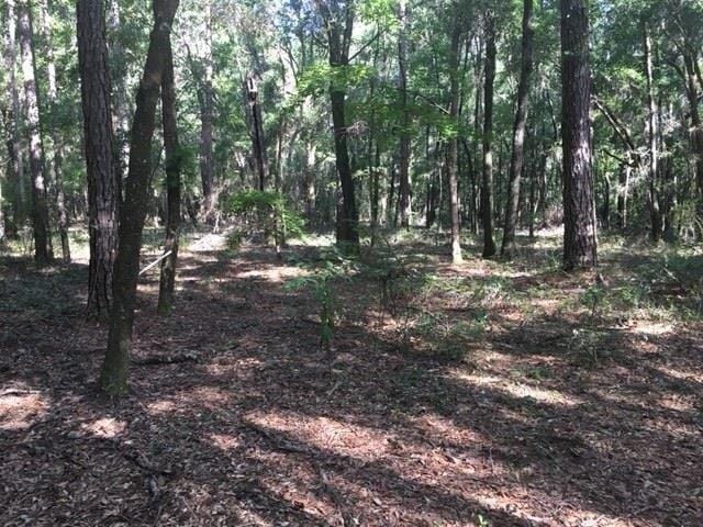 Plot For Sale In Tallahassee, Florida