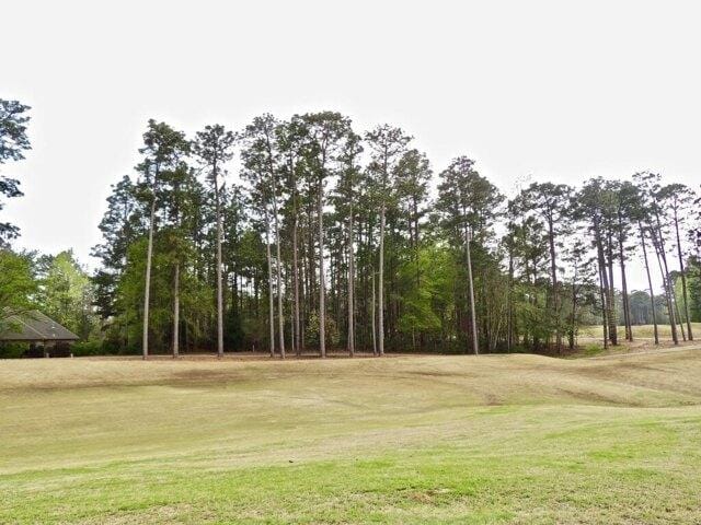 Plot For Sale In Hattiesburg, Mississippi