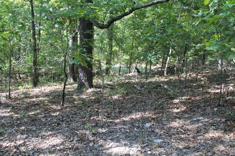 000 EAGLE RIDGE ROAD LOT 28 ROAD, Protem, MO 65733 Land For Sale  MLS# 60207638