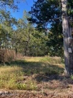 Plot For Sale In Sardis, Mississippi