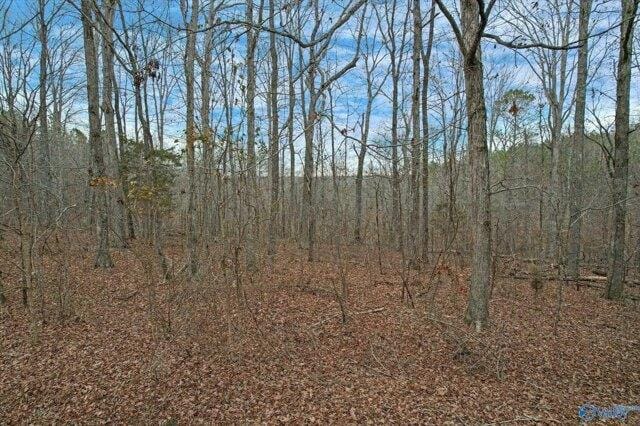 Plot For Sale In Moulton, Alabama