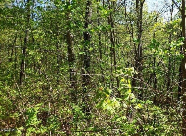 Plot For Sale In New Tazewell, Tennessee