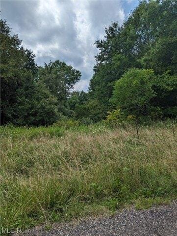Plot For Sale In Wellsville, Ohio
