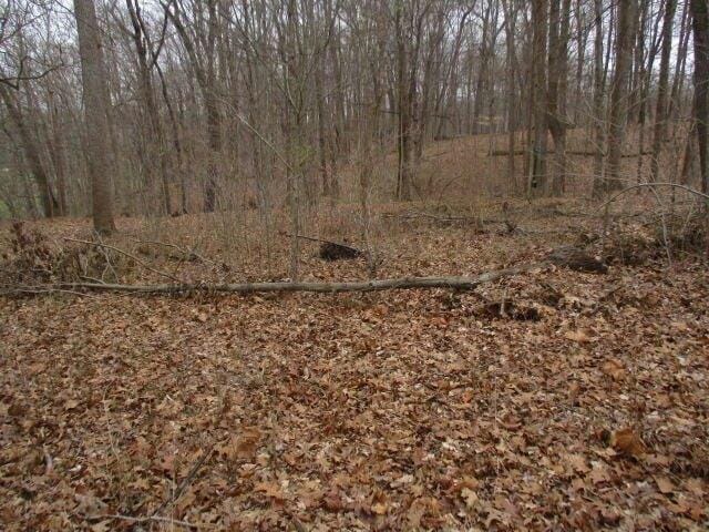 Plot For Sale In Butler, Kentucky