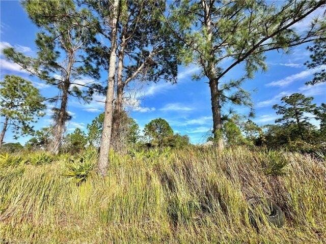 Plot For Sale In Sebring, Florida