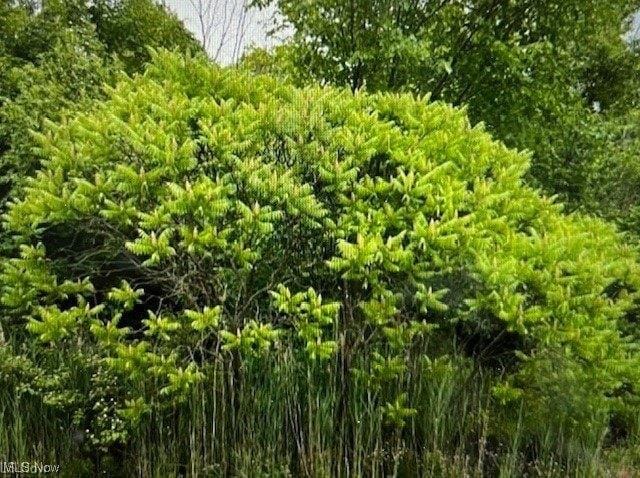 Plot For Sale In Boardman, Ohio