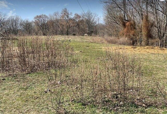 Plot For Sale In Dowelltown, Tennessee