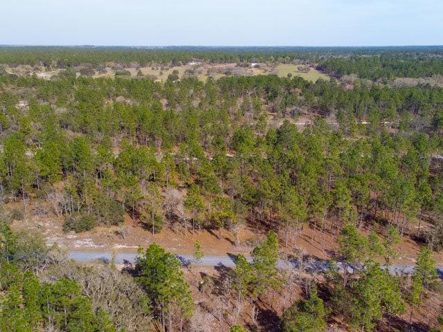 Florida Land for Sale, 0.25 Acres