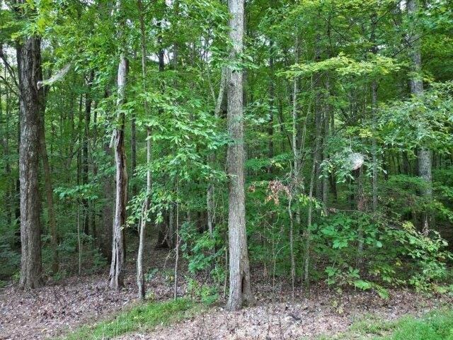 Plot For Sale In Owingsville, Kentucky