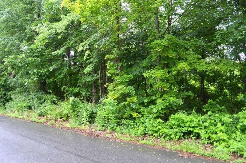 Lot 6 Babbird Tavern Rd, Ware, MA 01082  592968400 for Sale