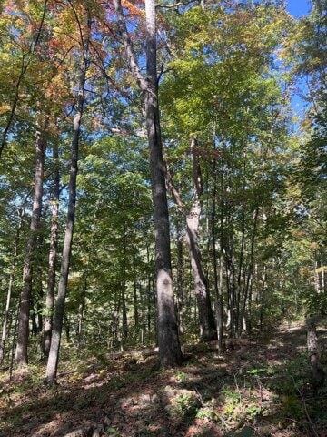 Plot For Sale In Jeffersonville, Kentucky