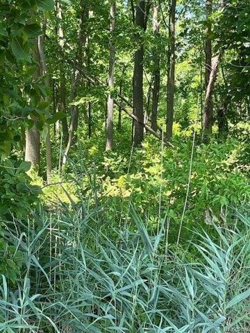 Plot For Sale In Macomb Township, Michigan