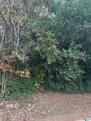 Plot For Sale In Birmingham, Alabama