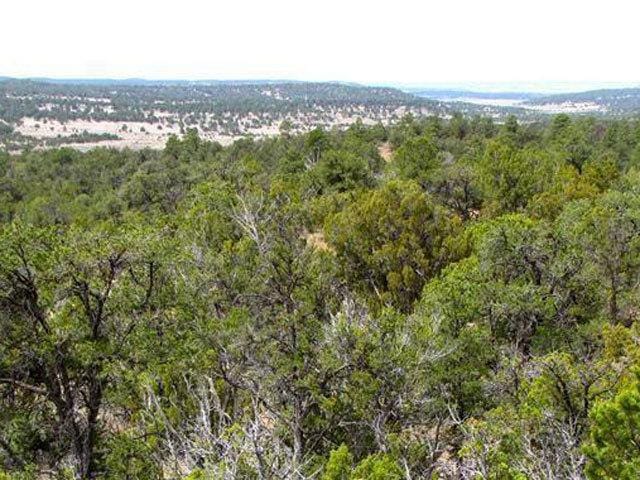 New Mexico Land for Sale 1.4 Acres, west of Albuquerque